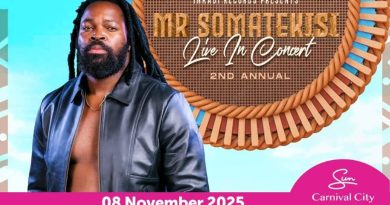 What’s on at Carnival City this November? What’s on at Carnival City this November?