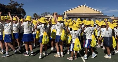 PEP Mini Netball Festival Inspires Young Players in Worcester